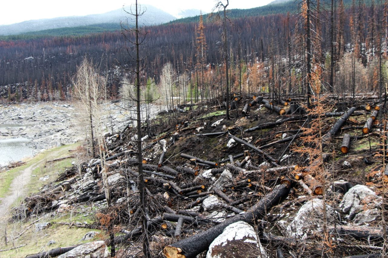 forest fire, spirit lake, jasper