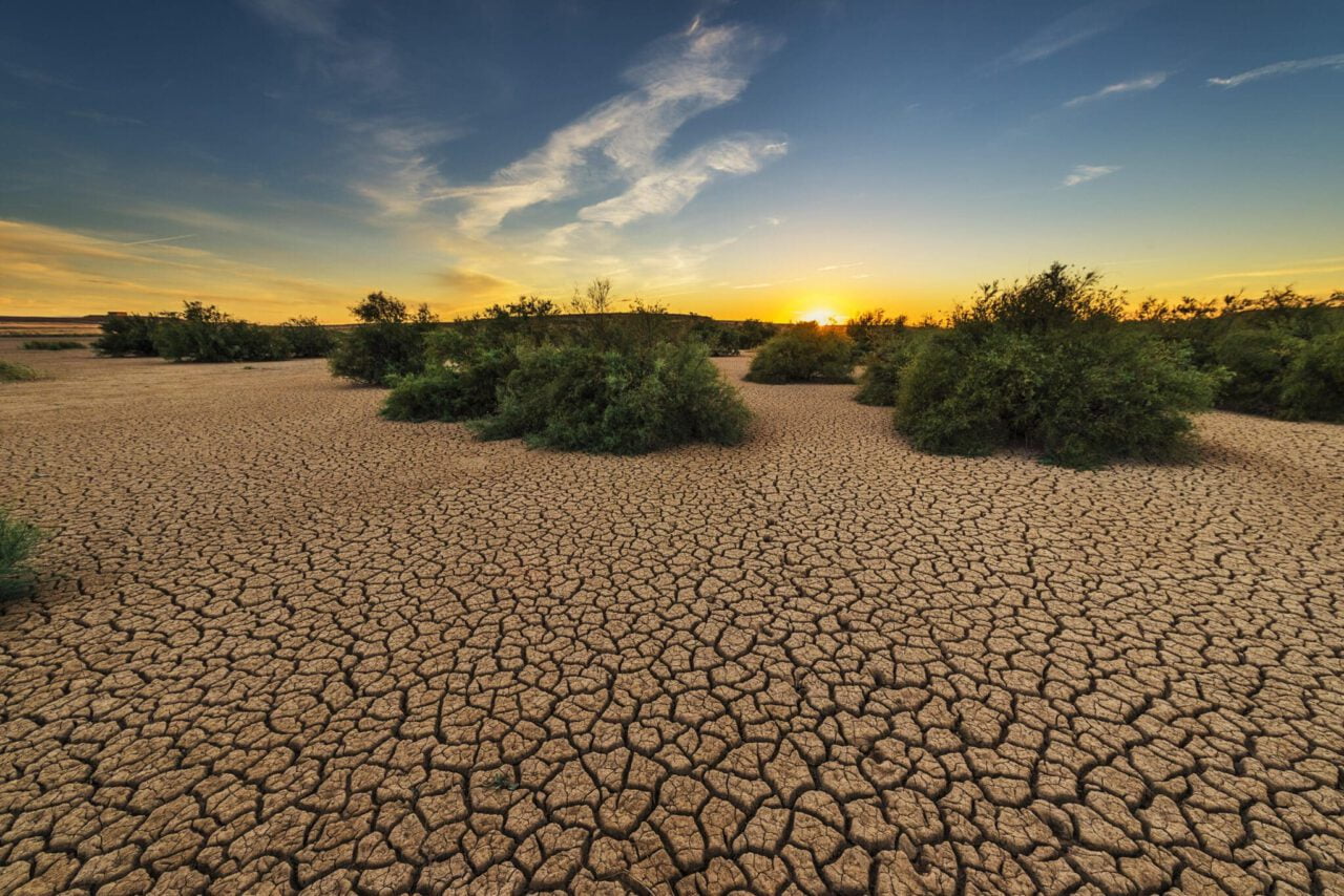 drought, dehydrated, clay floor