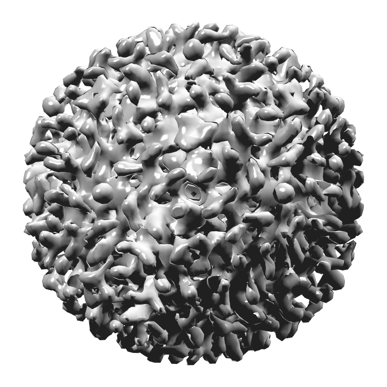 hepatitis b virus, virus, 3d