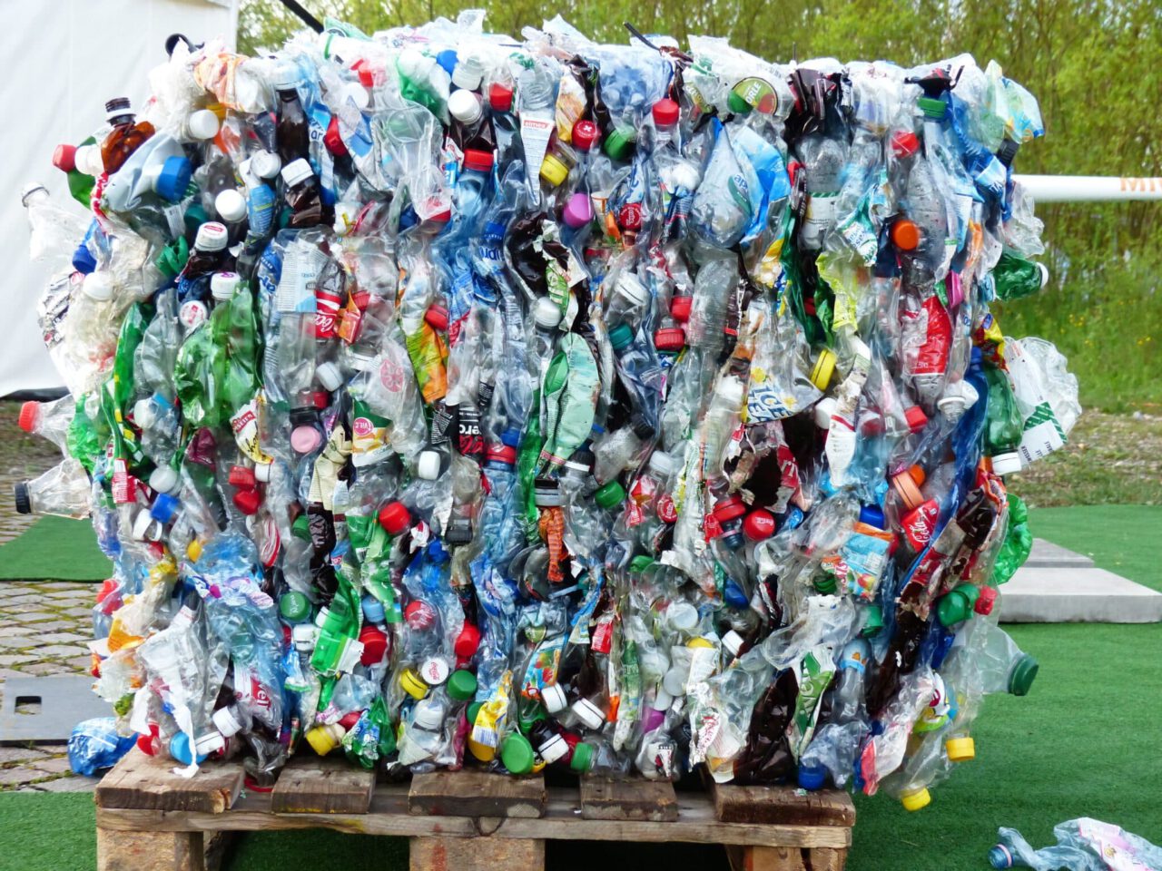 plastic bottles, bottles, recycling