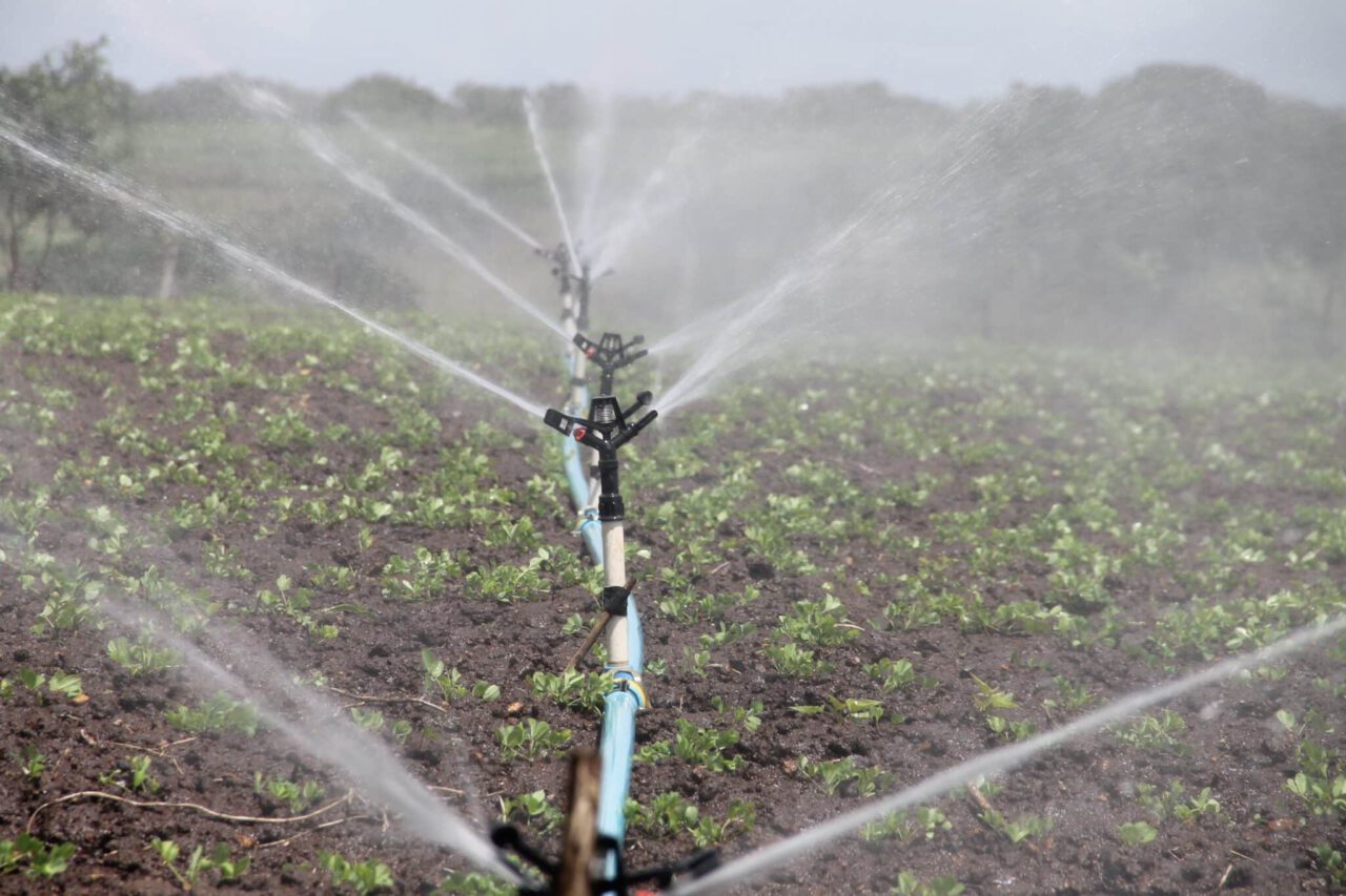 irrigation, agriculture, sprinkle