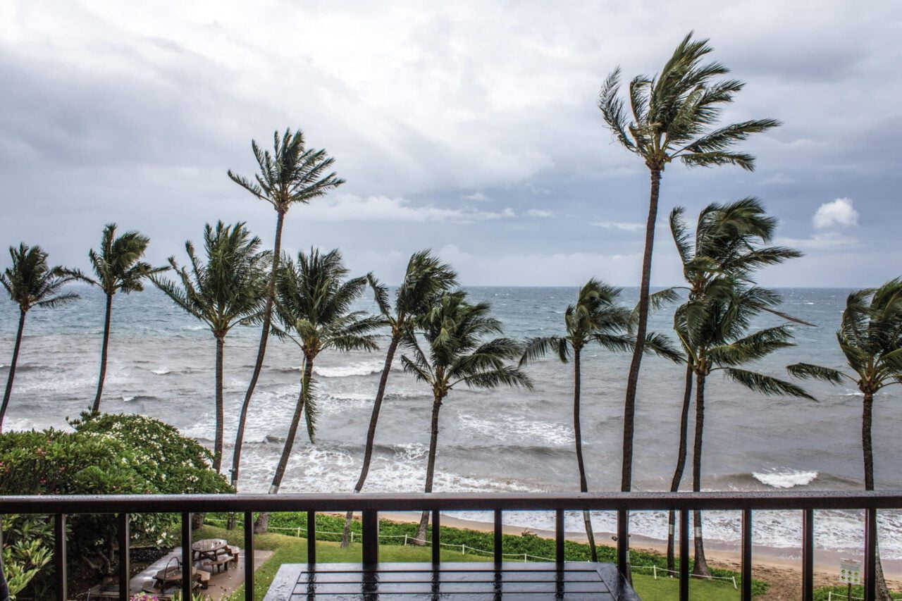 palmer, tropical storm, storm