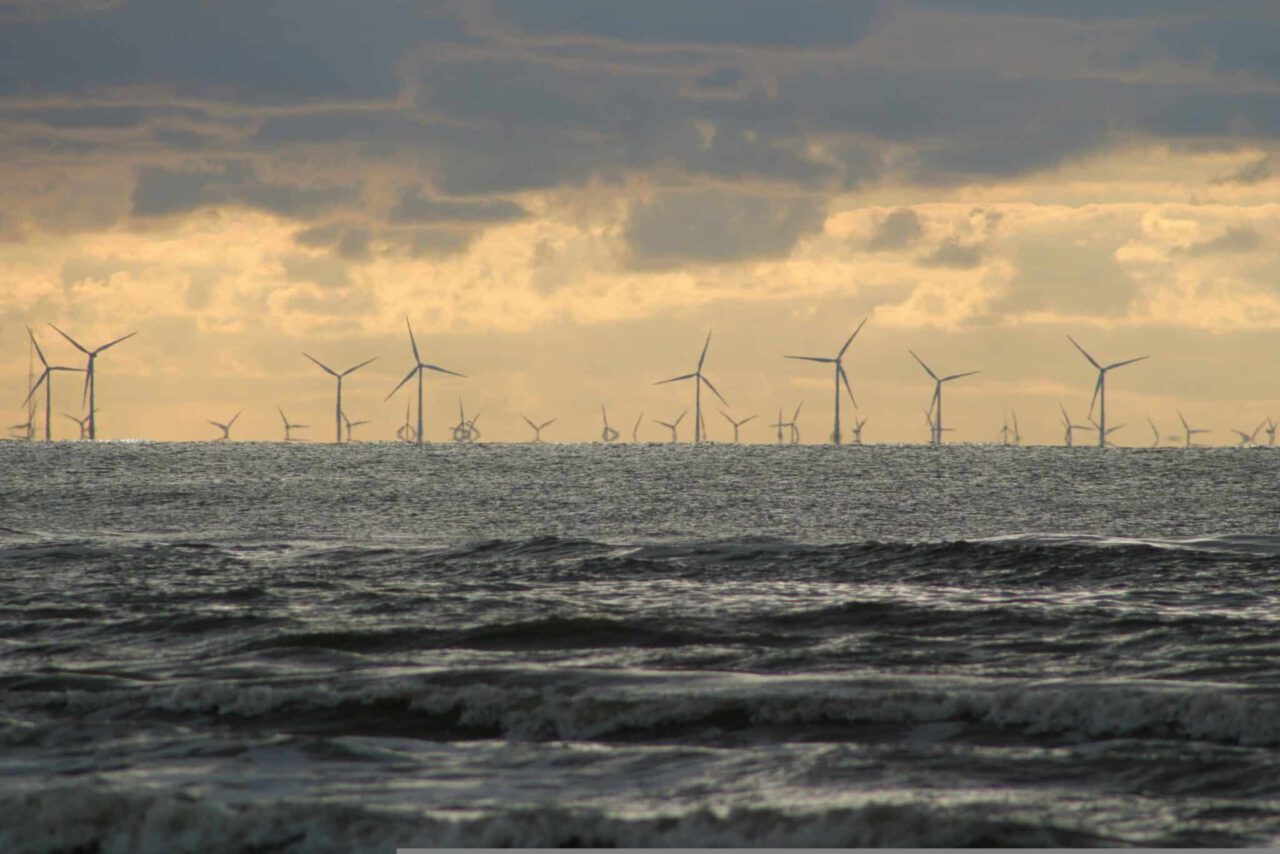 wind farm, windmill, wind power