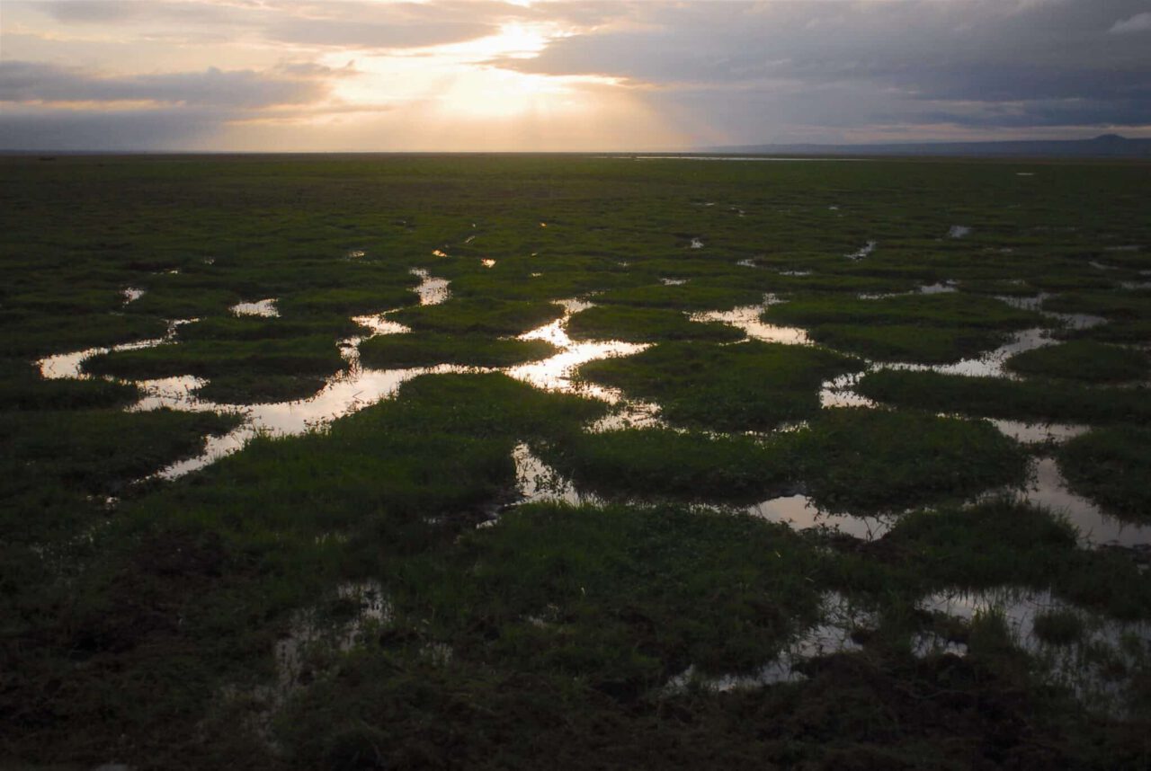 earth hour, reflection, marsh