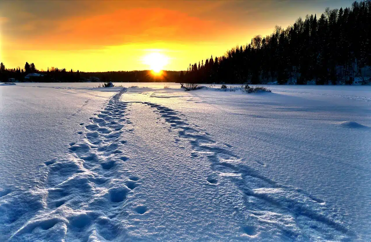 landscape, nature, winter