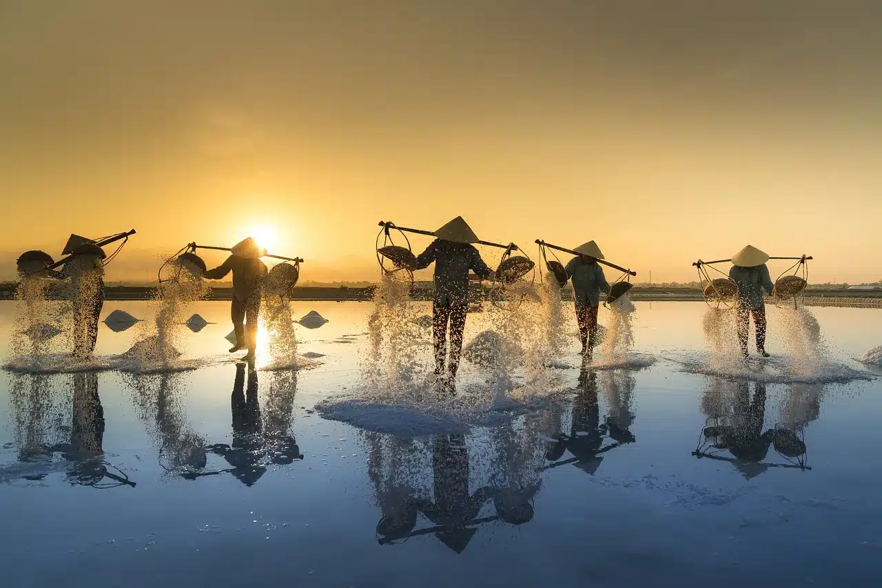 salt harvesting, vietnam, water