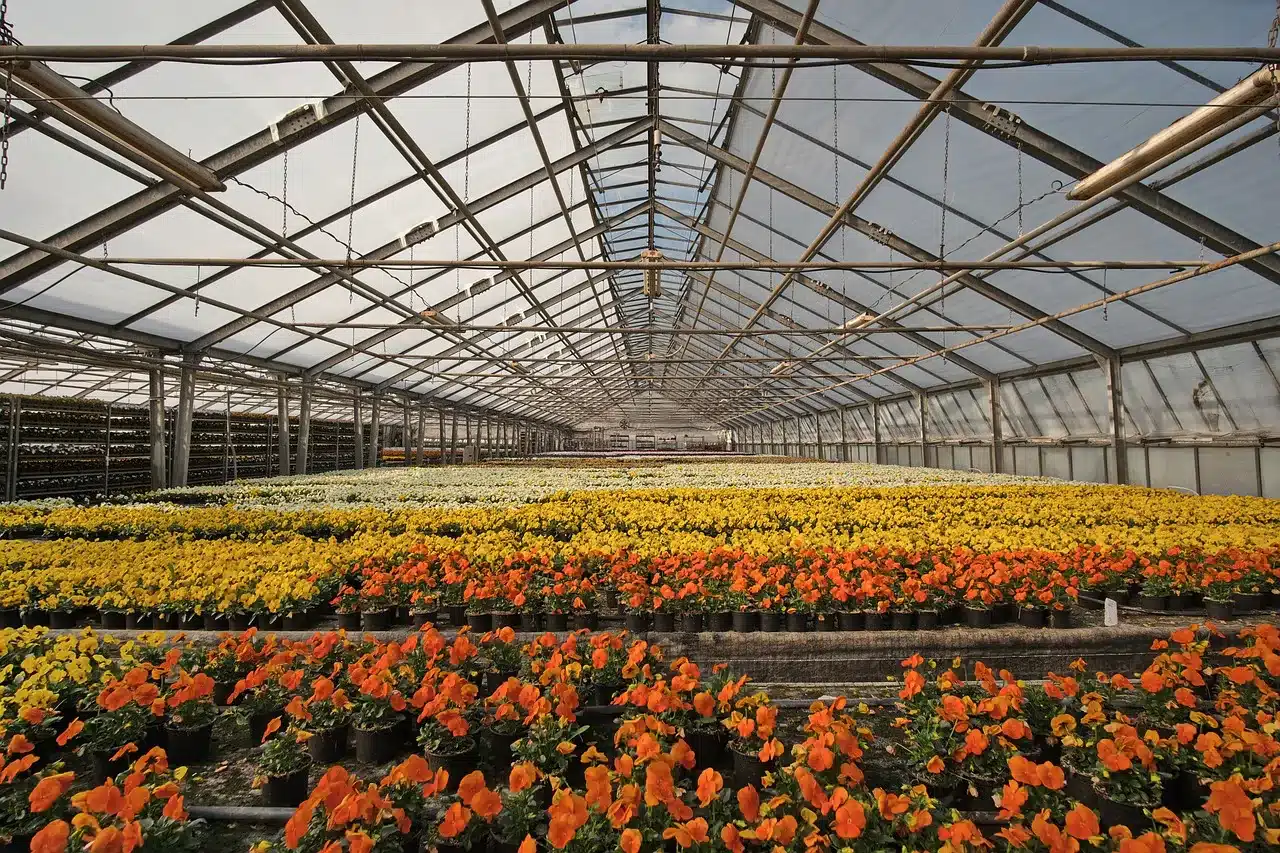 greenhouse, nursery, flower bed