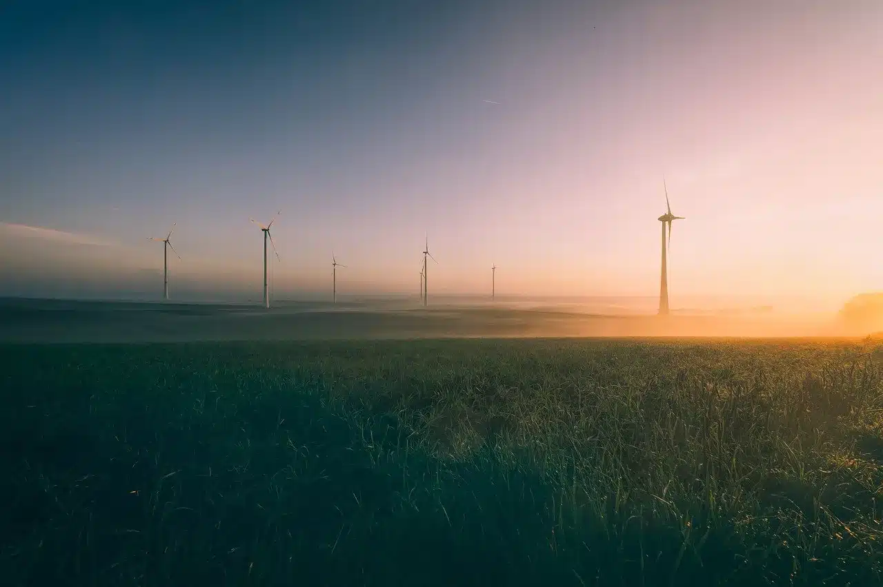 sunrise, windmills, pinwheels