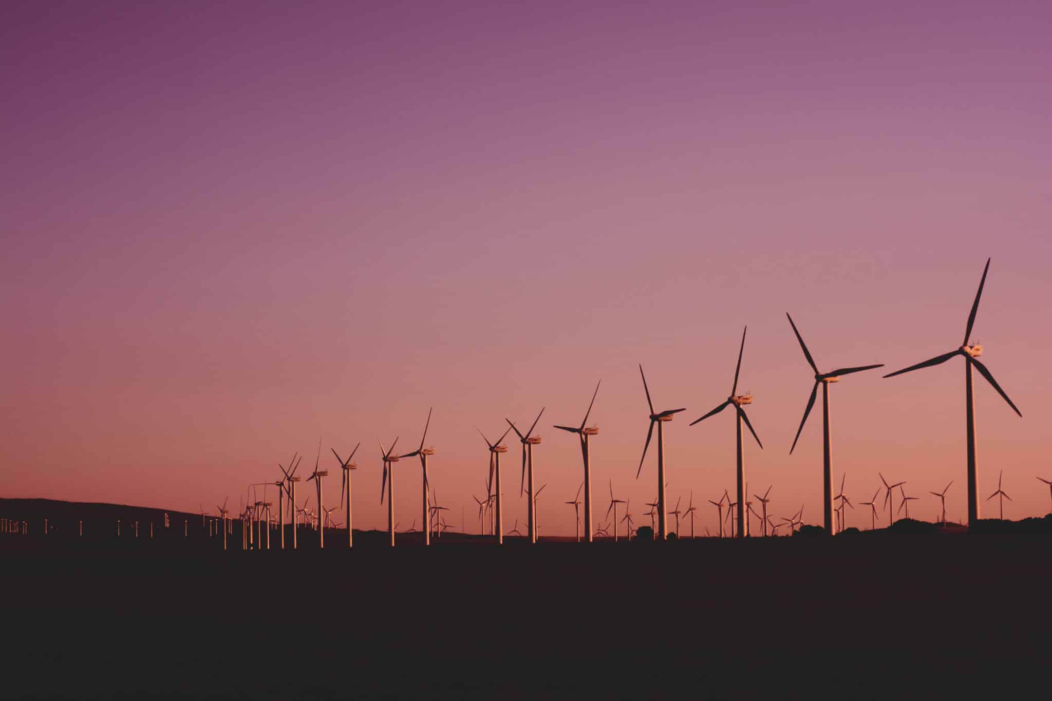 Photo of wind turbines lot