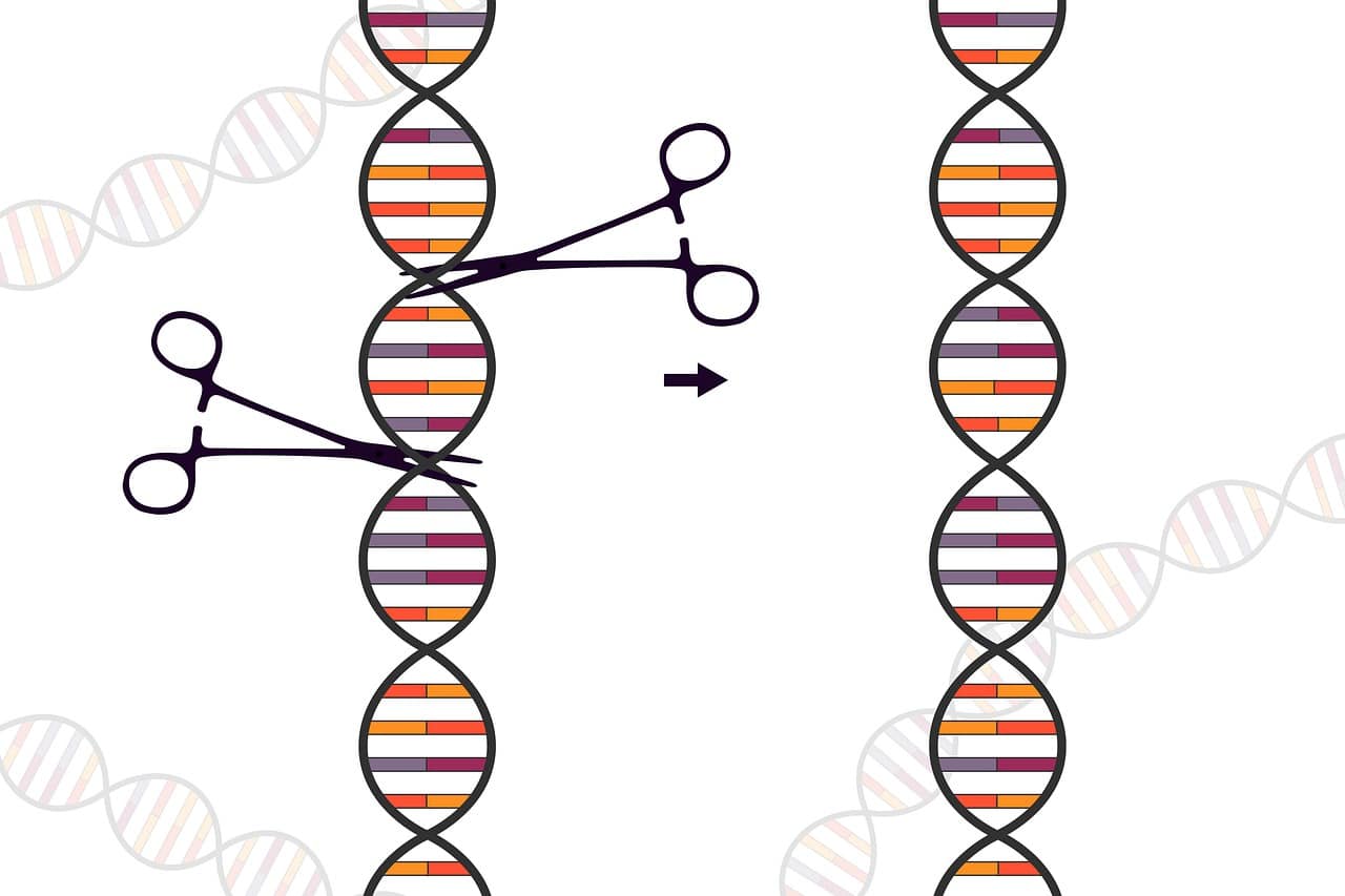 crispr, genetic, scissors