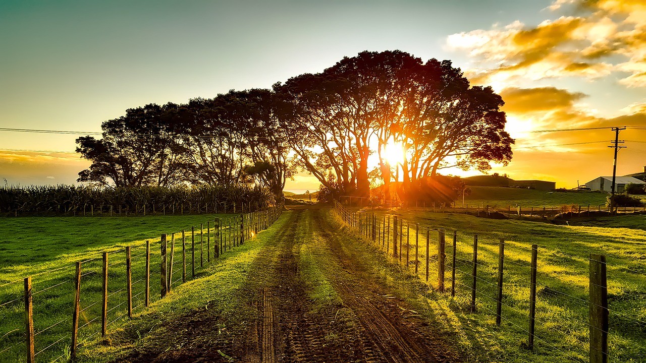 new zealand, landscape, scenic