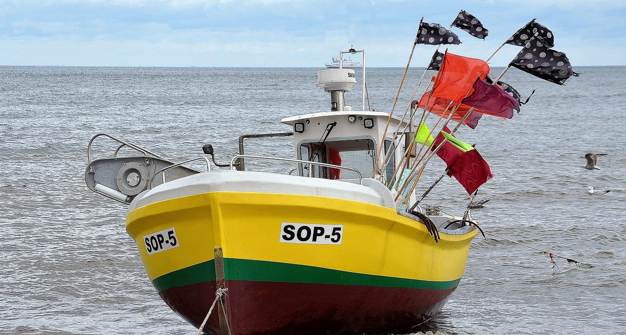 boat, nature, fishing