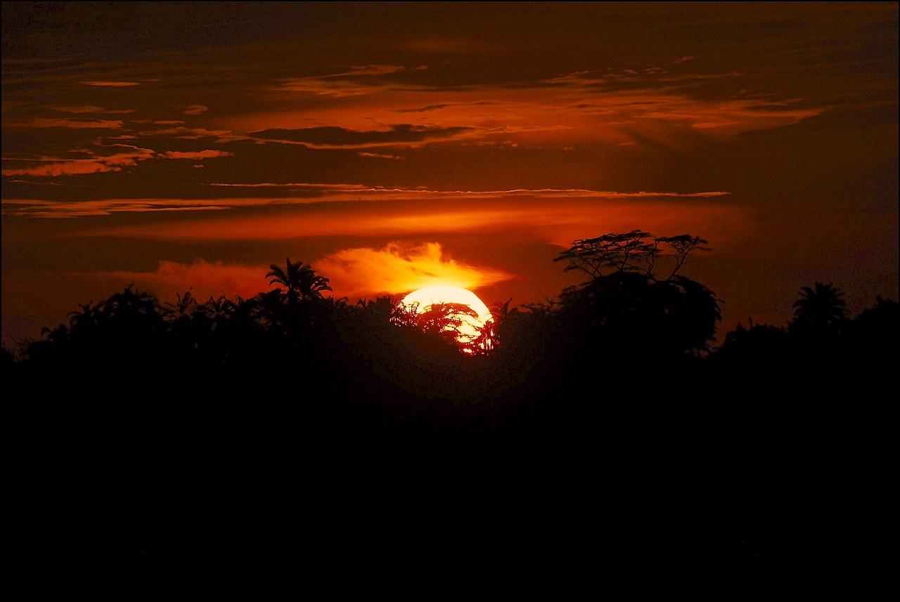 africa, kenya, safari