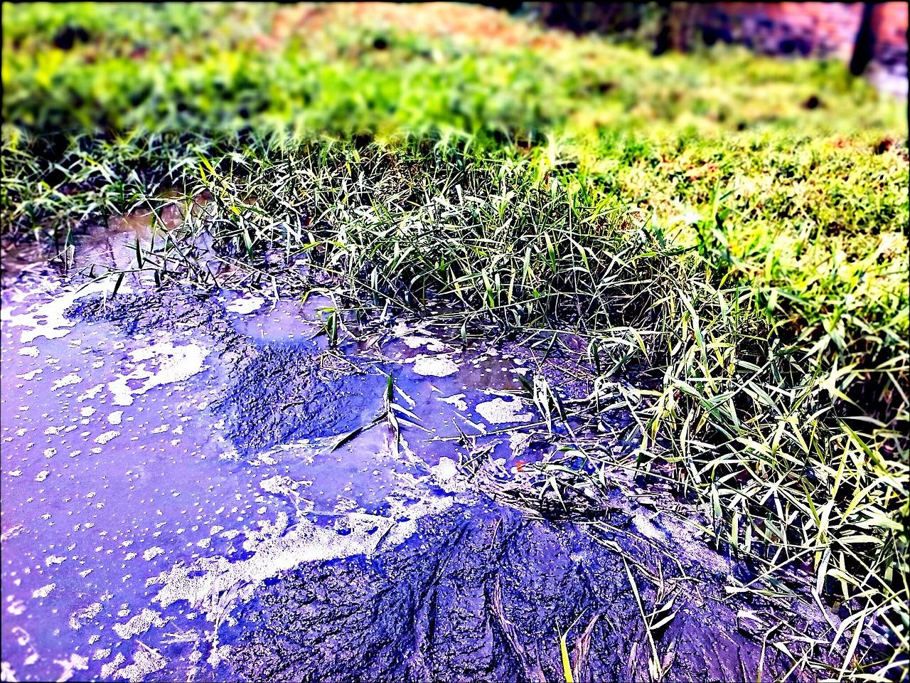 pollution, environment, biotope