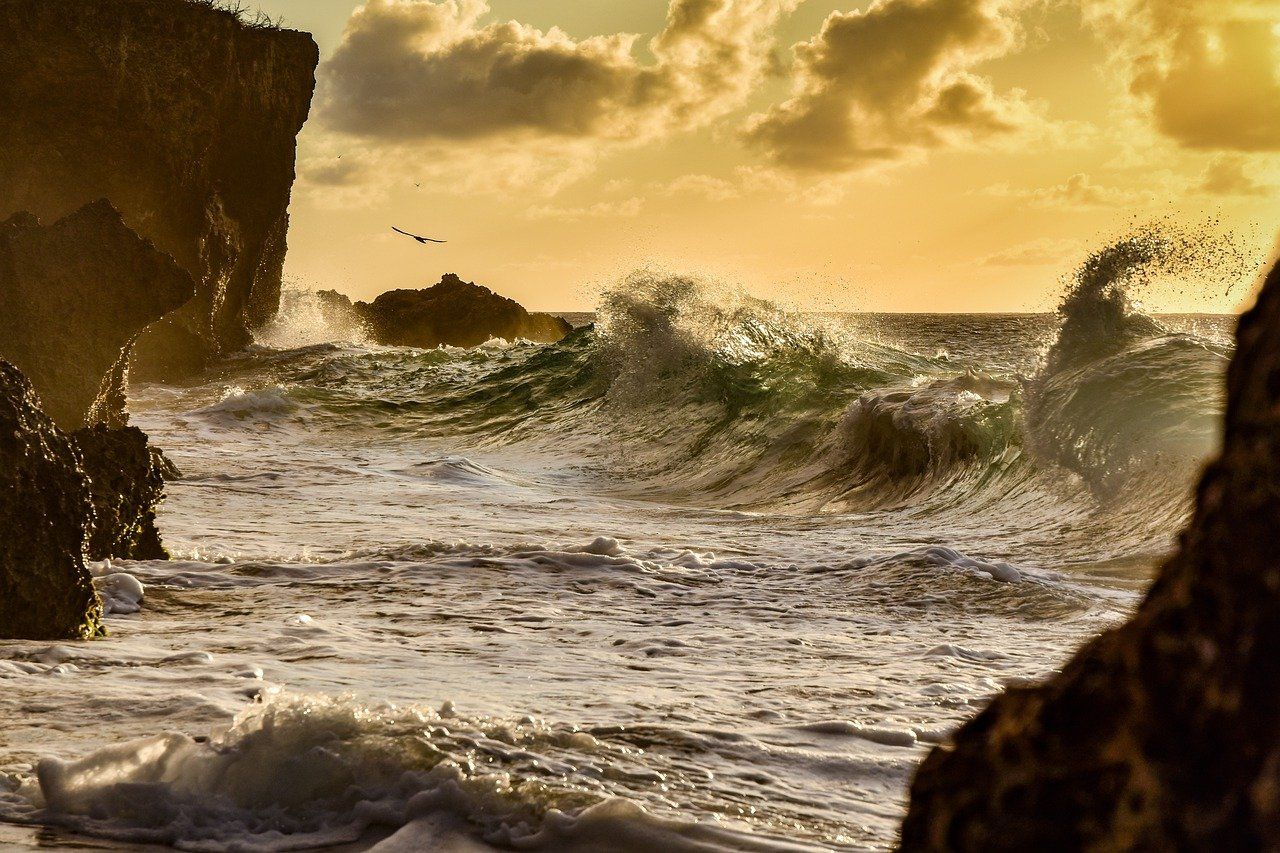 curacao, coast, shore