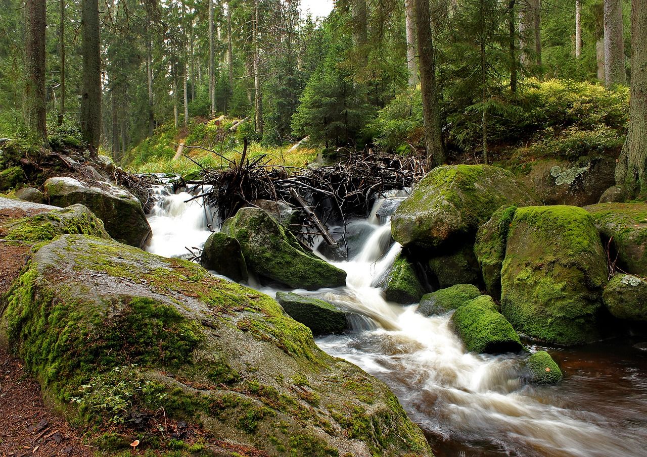 šumava, river, water