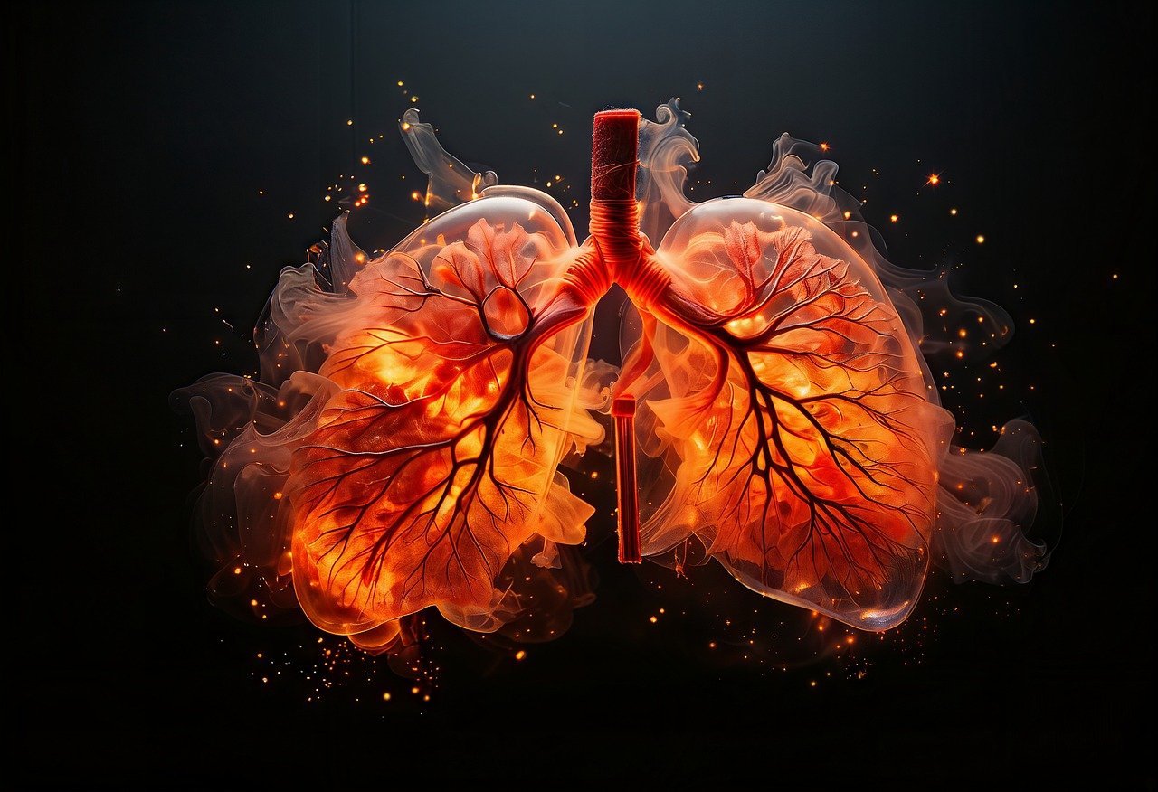 ai generated, lungs, fiery