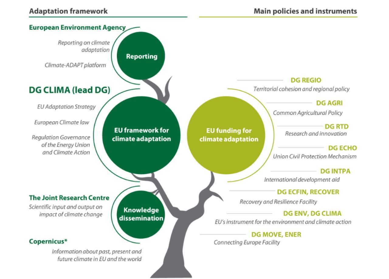 Illustration of roles and responsibilities of Commission’s main services