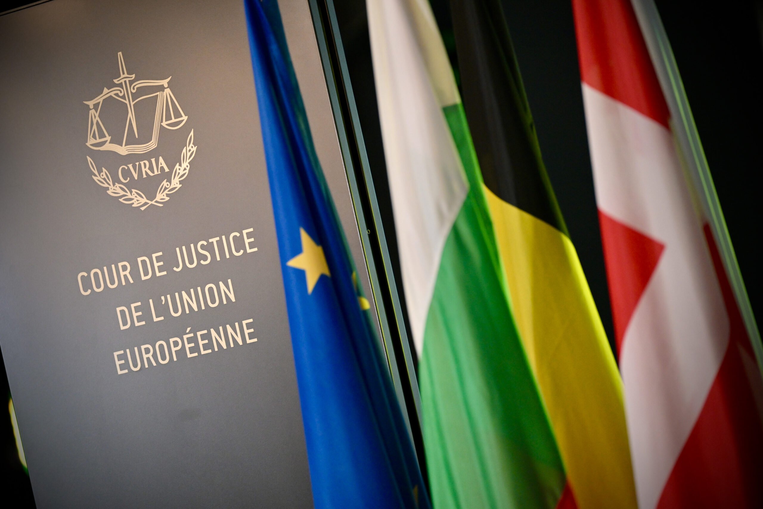 relief of the EU Court of Justice and flags